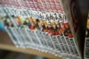 Os 25 Melhores Mangás em 2026: de Seinen, Romance, Shounen, Yaoi, Terror e mais!