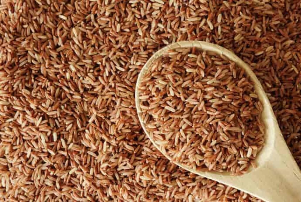 arroz integral e colher