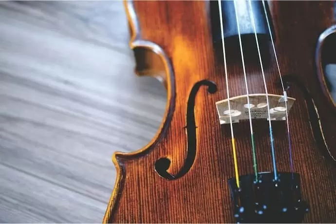 Violino.