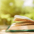 Os 10 Melhores Livros de Drama de 2025: A rainha vermelha, Por lugares incríveis e muito mais!